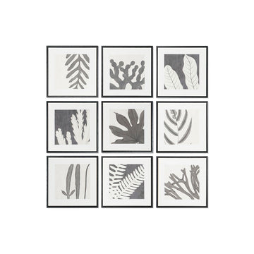 Cadre DKD Home Decor 40 x 4 x 40 cm Feuille d'une plante Urbaine (9 Unités)