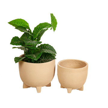 Set de pots de fleurs Romimex Blanc Beige Pieds (2 Pièces)