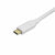 Adaptateur USB C vers Mini DisplayPort Startech CDP2MDP              Blanc 4K Ultra HD