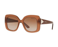 Lunettes de soleil Femme Ralph Lauren RL8169-572513 (ø 51 mm)